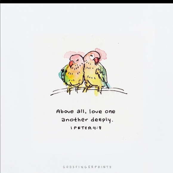 Meet your Posher, Kea - Picture 3 of 6